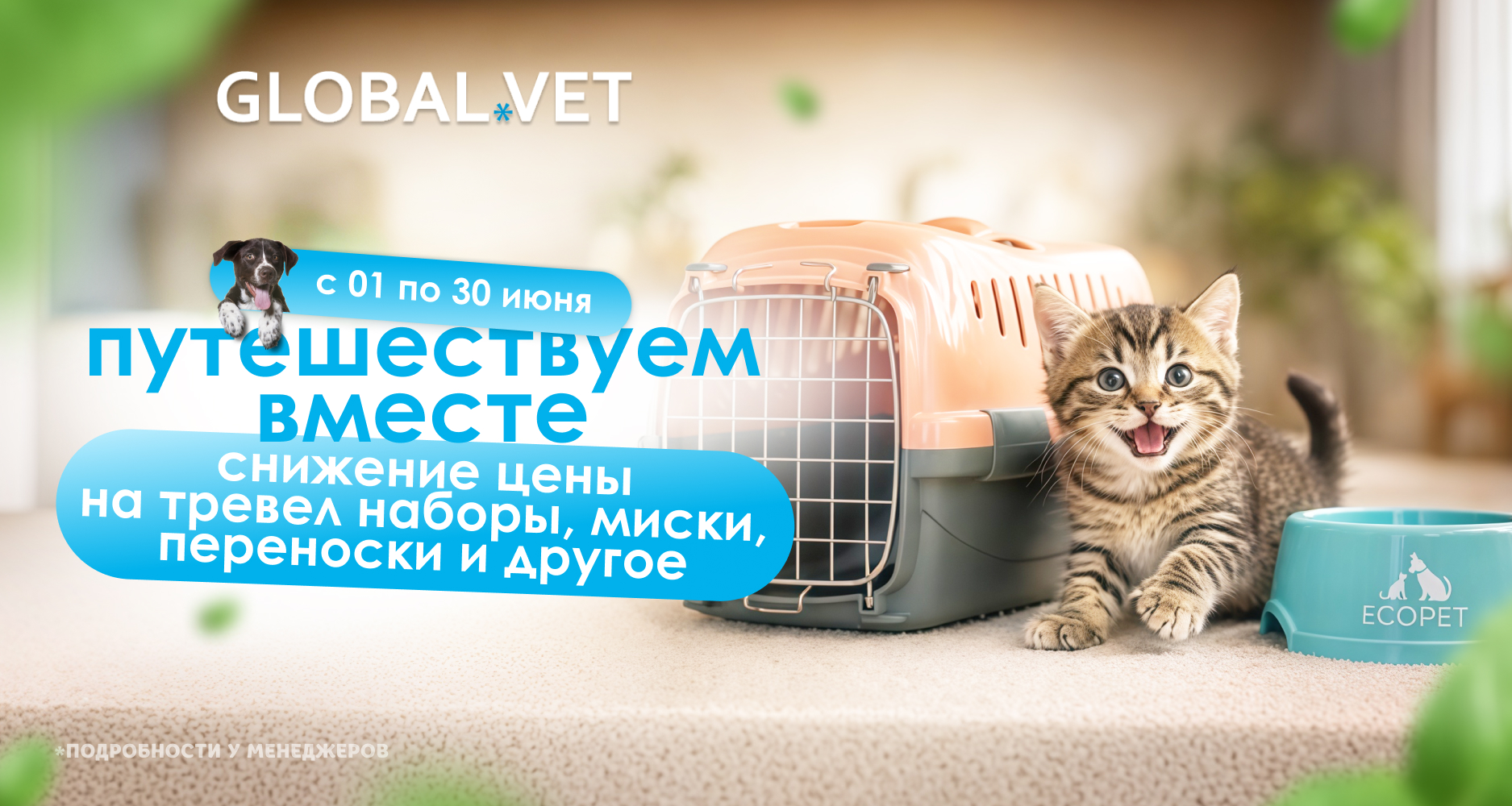 До 30 июня действуют спеццены на товары для легких путешествий.