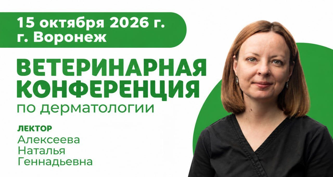 Прямо сейчас: ветеринарная конференция по дерматологии в Воронеже